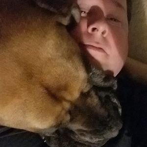 Meet your Posher, Donald